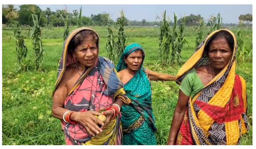 କାଳବୈଶାଖୀ ଭାଙ୍ଗିଲା ଚାଷୀ ମେରୁଦଣ୍ଡ